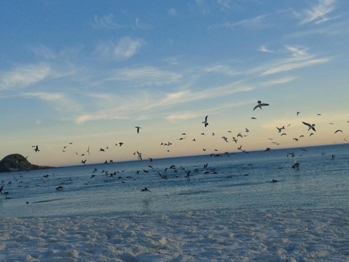 De frente para o Caribe brasileiro. Arraial do Cabo Exterior foto